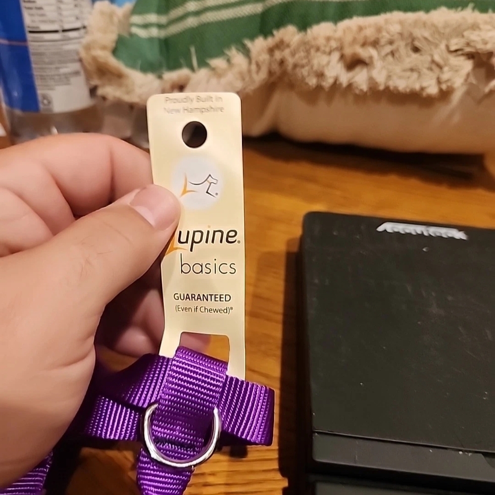 LupinePet Purple 3/4" Adjustable Roman Dog Harness, 12-20", Small Dogs - Picture 2 of 3